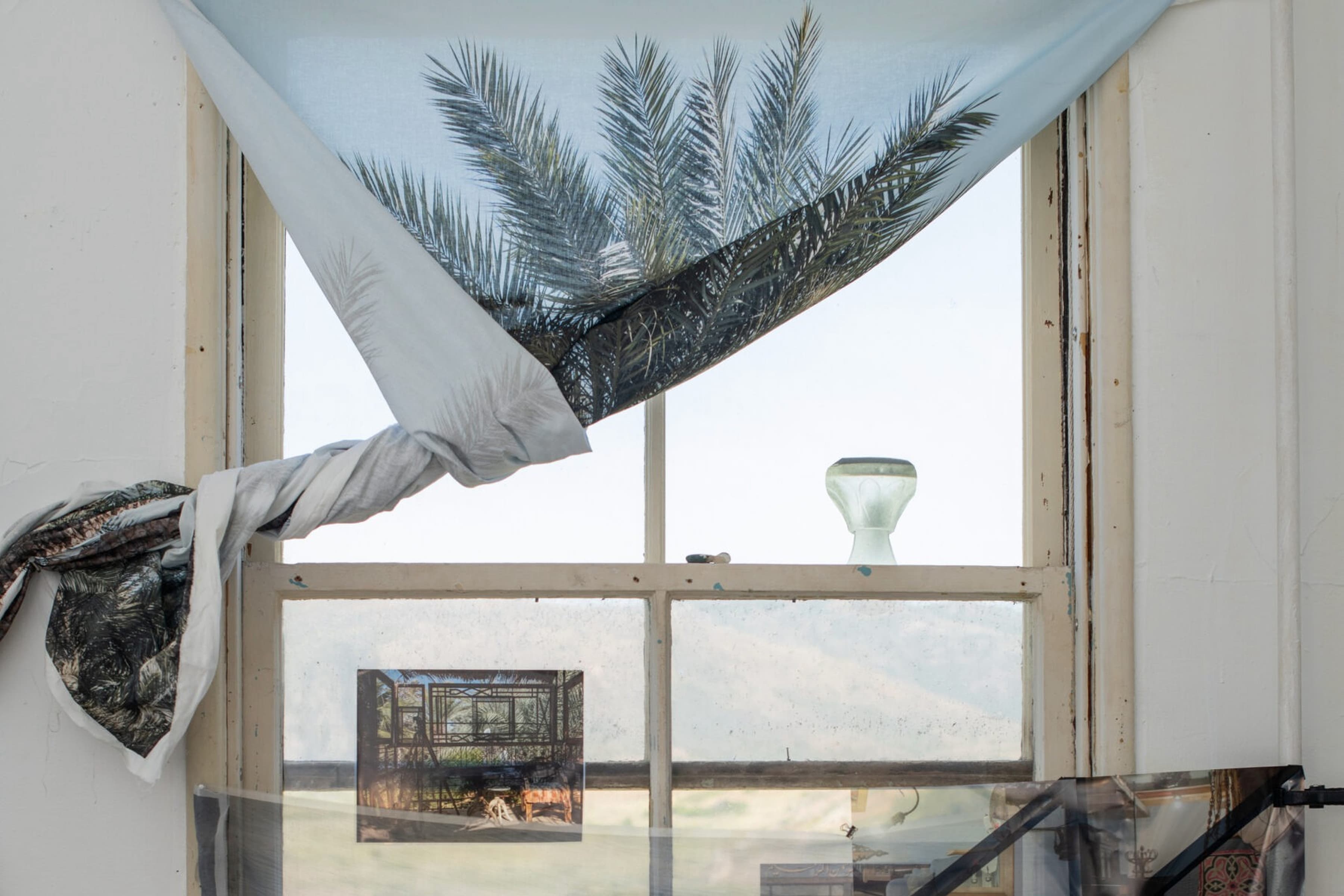 An Northern Californian wooden window looks out onto pale hills. A light blue, patterned fabric drape is tied back, partially revealing palm fronds against the bright sky.