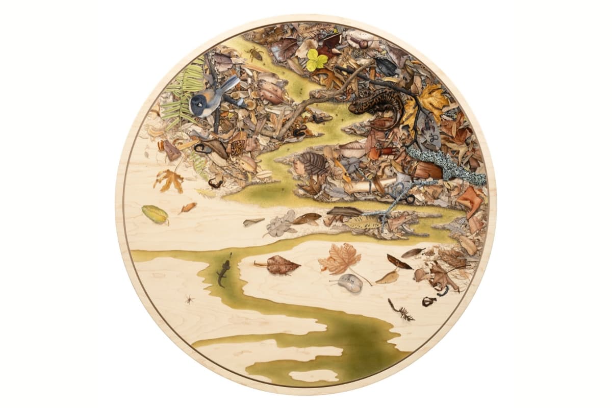 alt text: Circular painting following the path of a small forest stream, with feathers, bones, leaves, insects, and small creatures gathered among the debris, including salamanders watching over their eggs and a juvenile ring-necked snake curled among the leaf litter.