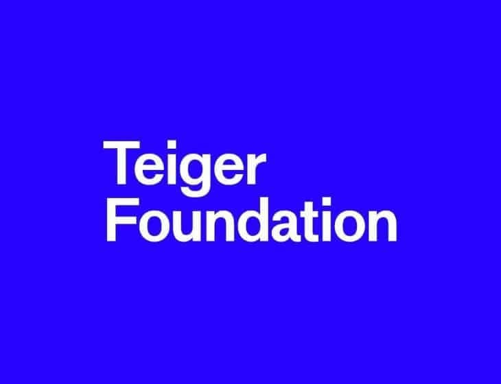 A white logo on a blue background reads: "Teiger Foundation"