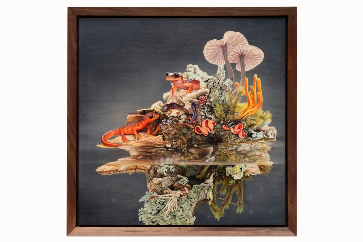 Painting of a small floating forest island reflected in dark water, with salamanders, mushrooms, lichens, mosses, ferns, coral-like fungi, and other small organisms gathered among the branches and debris. A bright orange salamander rests at the center, surrounded by smaller salamanders and newts, with the reflection extending below into a dense arrangement of roots, fungi, and aquatic vegetation