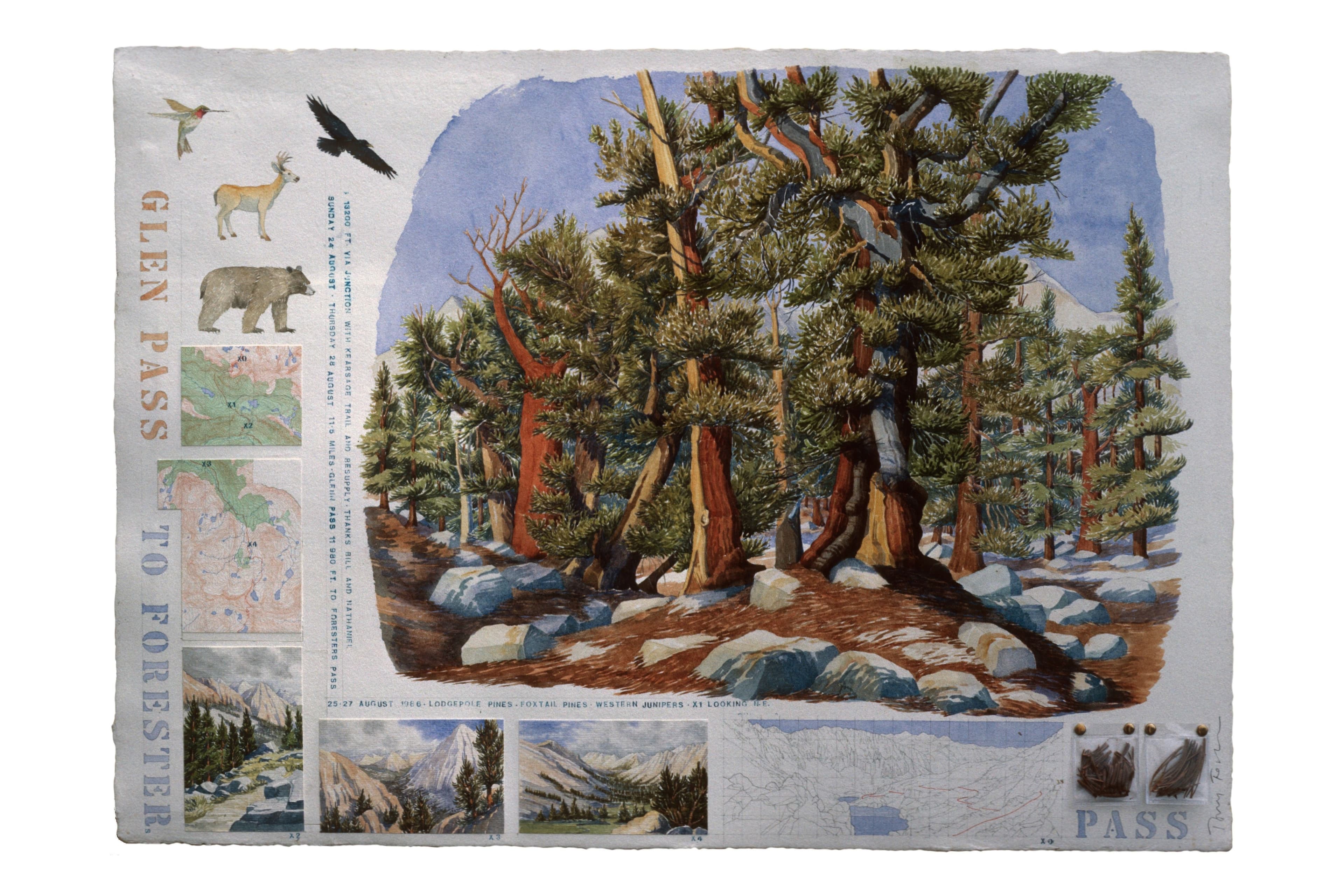Decorative color watercolor collage of mountain vistas and pine and juniper trees, with stenciled lettering of the title, hand-drawn topo maps, elevation drawing, plastic bagged organic material from trees attached with brass brads.