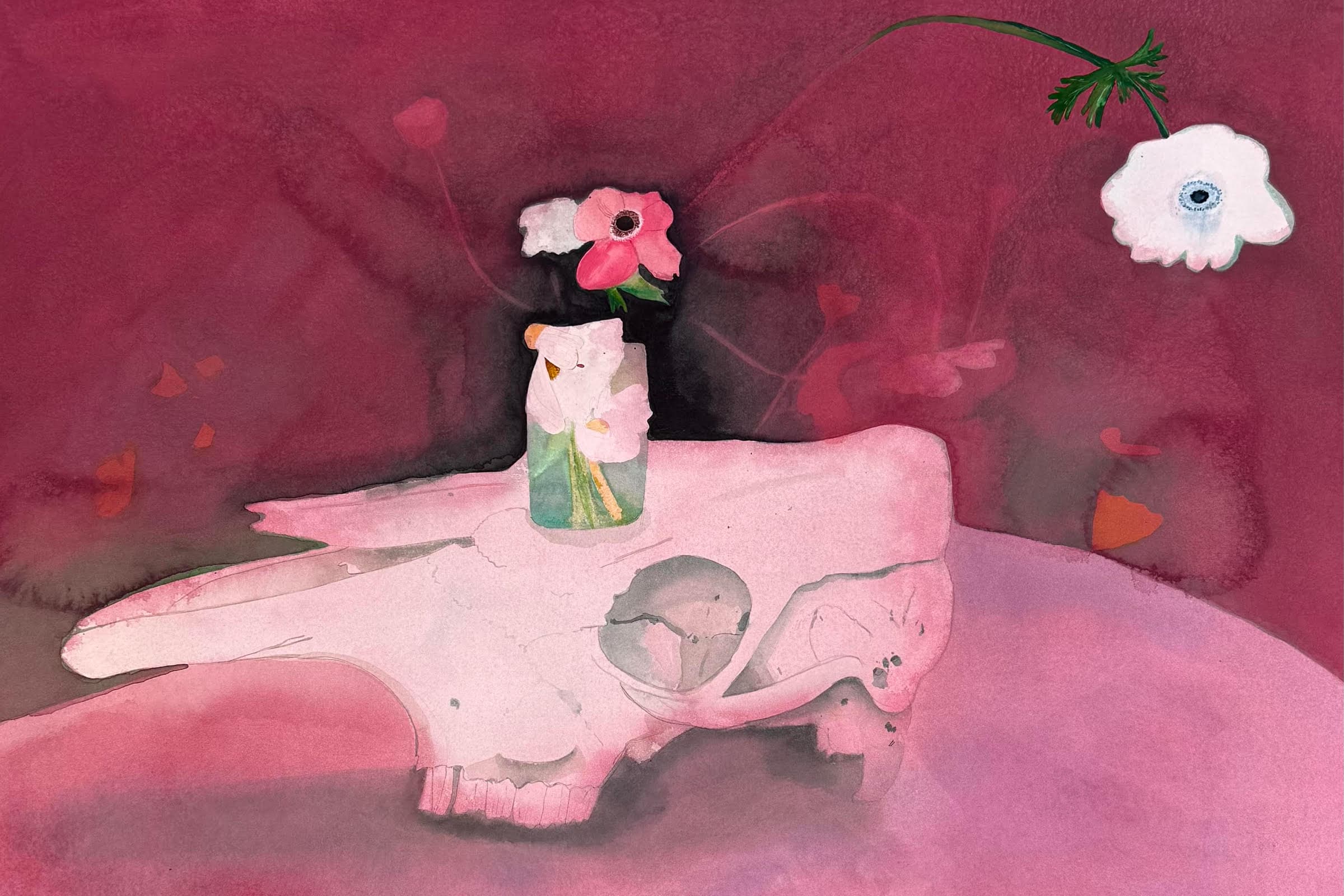 A cow scull rests on a table, with a jar with flowers sitting on top, with long stems that reach the edge of the paper, and washes of pigment over the surface.