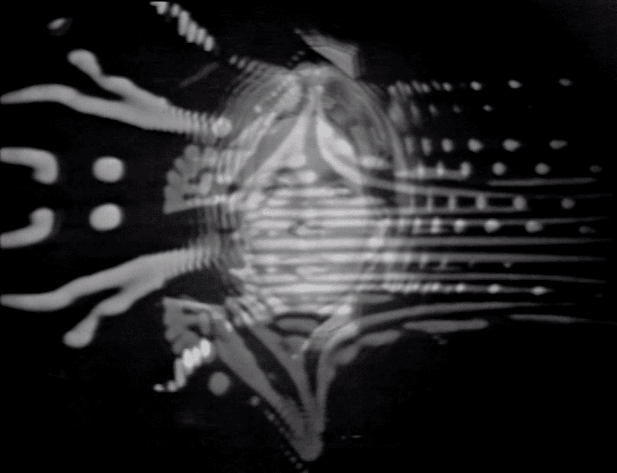 The face of a goddess hidden beneath smoky, black-and white-video feedback of the late 1960s.
