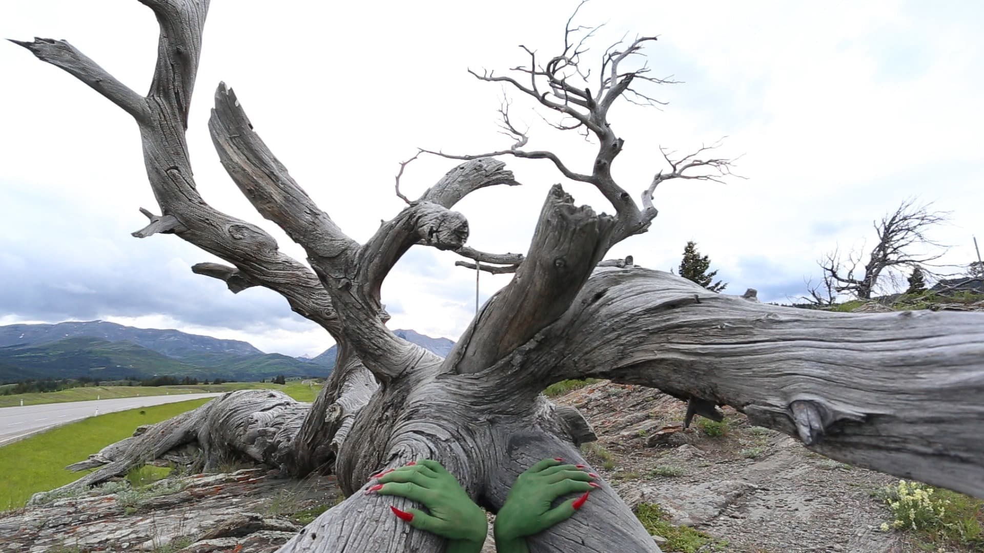 Still from Alana Bartol's video "With a finger to her lips…, with dried fallen grey tree and two green hands with red nails facing outward.