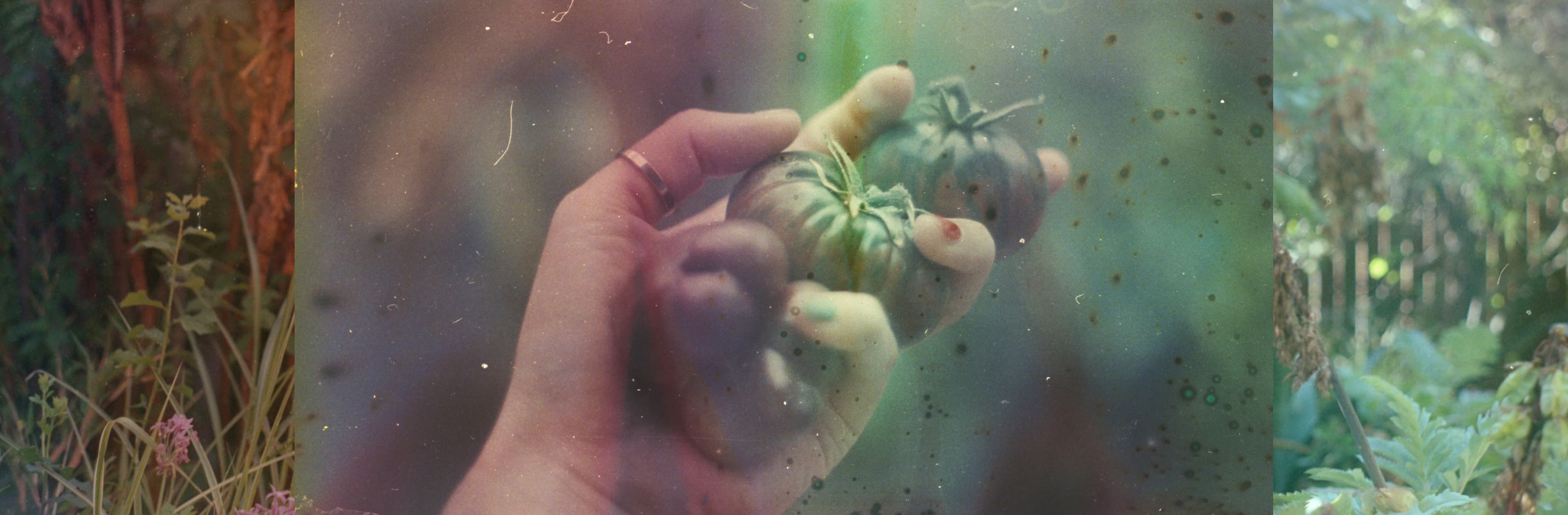 An experimental frame showing a garden scene, heavily textured by chemical degradation, organic decay patterns, and faint, surreal hand-drawn botanical animations.