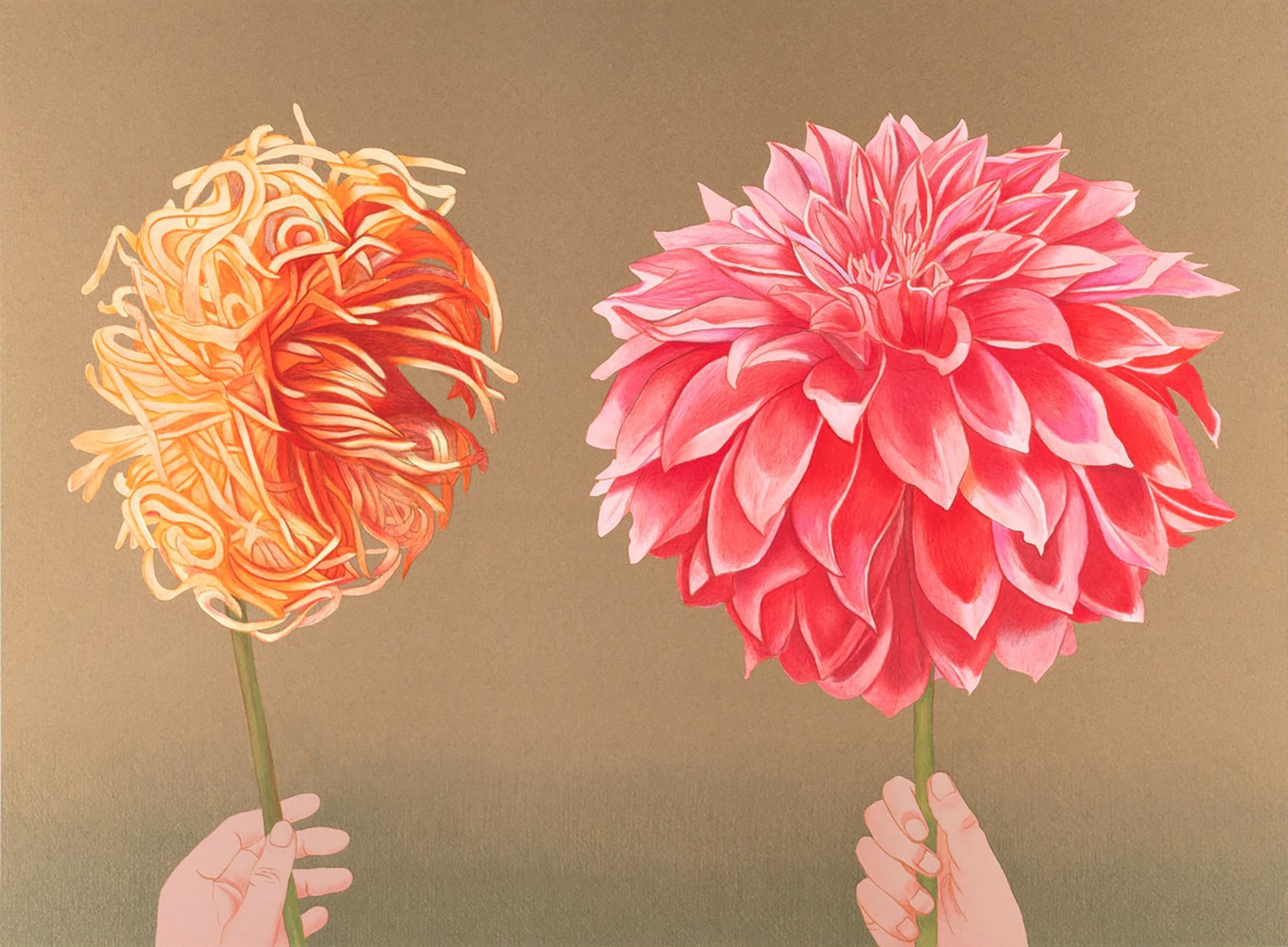 Lithograph on paper depicting two large dahlias in full bloom are held by their stems against a muted green background. The flower on the left is pale peach and orange, while the larger flower on the right is bright pink with densely layered petals. Two hands are visible at the bottom holding the stems.