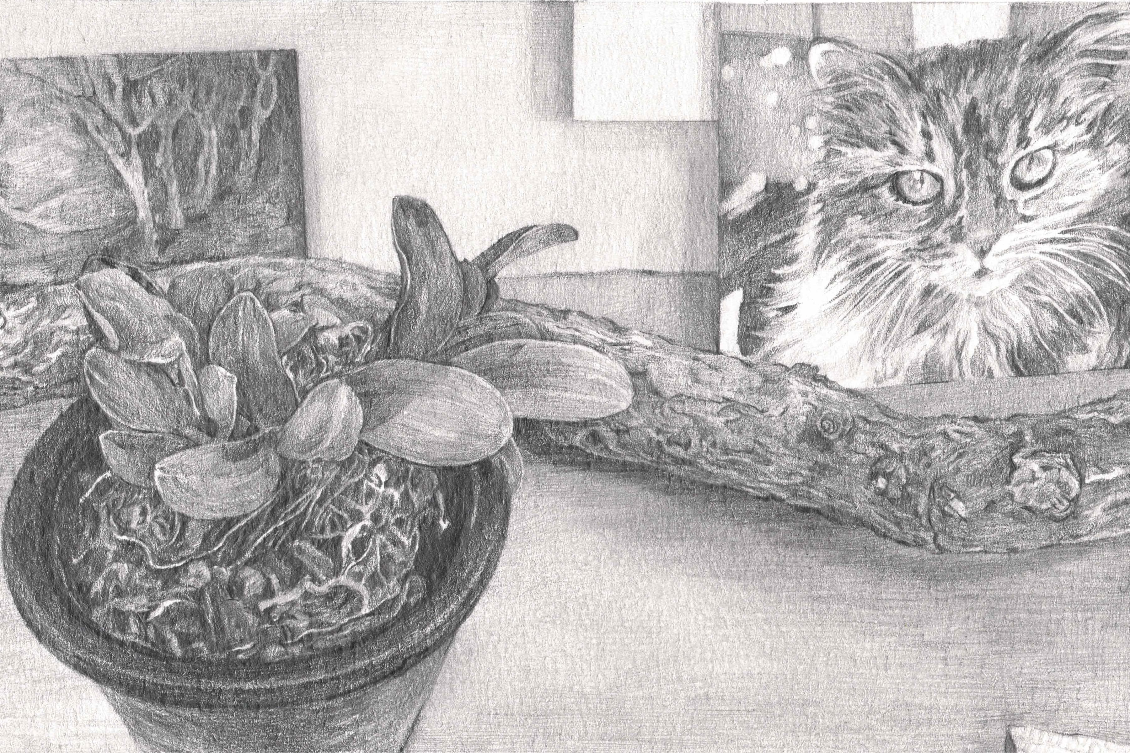 Domestic setting on a table: paintings of a long-hair cat and a natural setting, a plant in its pot, and tree branch in between.