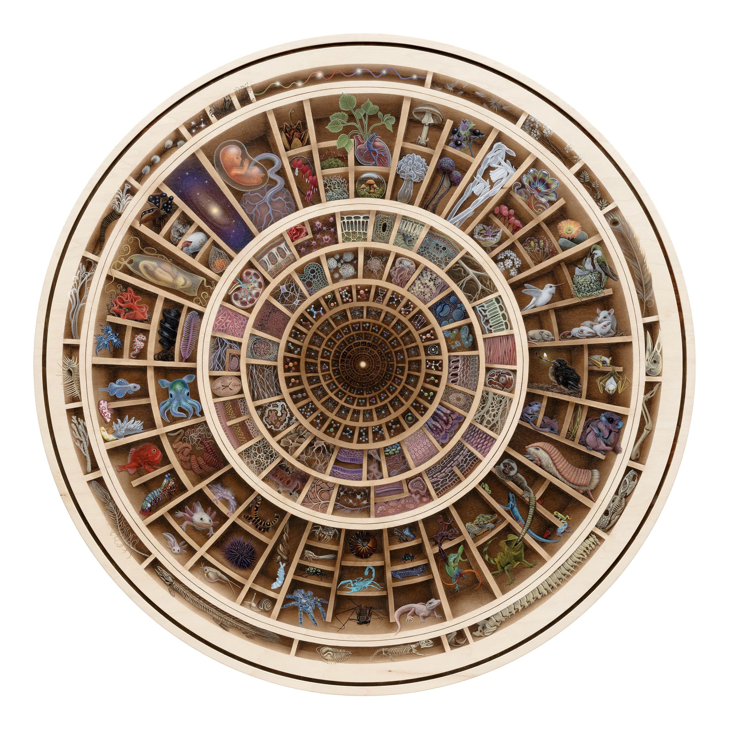 Circular painting arranged as a mandala-like cross-section of life, beginning with subatomic particles and cells at the center and expanding outward through tissues, organs, plants, animals, a human fetus, and a distant galaxy.