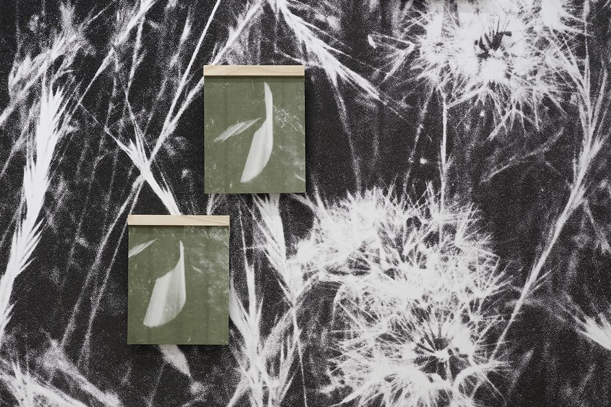Black-and-white image of delicate grasses and seed heads filling the background, with four small green-toned photographs of leaves mounted across the composition.