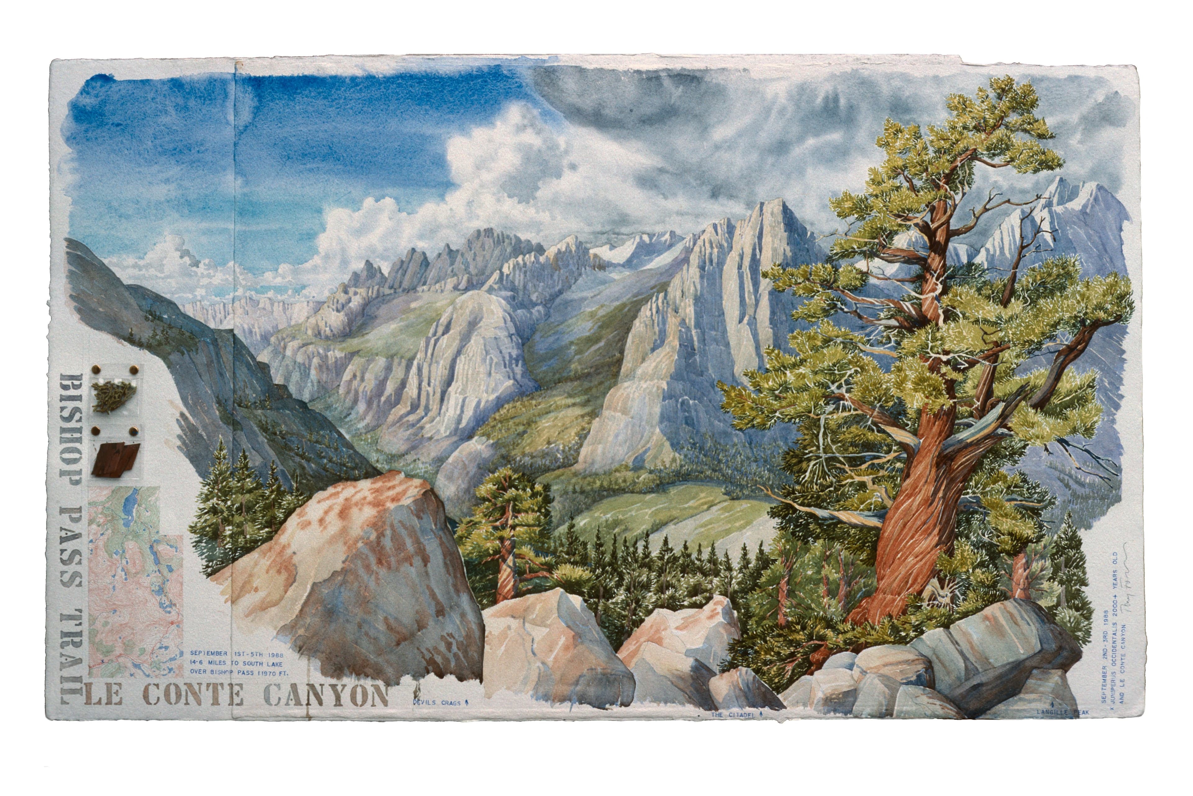 Decorative color watercolor of Sierra Nevada mountains and large juniper tree, with hand-drawn topo maps, stenciled lettering of the title, plastic bagged western juniper foliage and bark attached with brass brads.