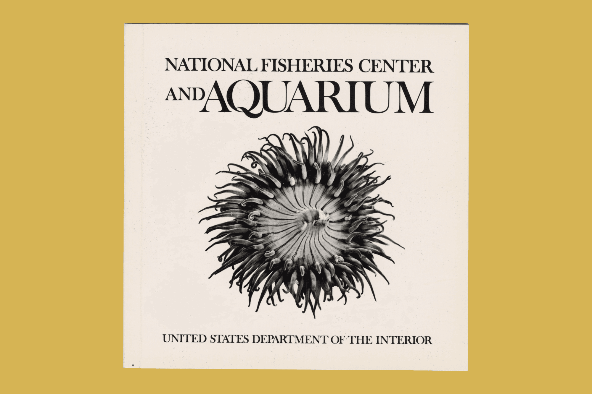 Cover of booklet featuring a drawing of a sea anemone produced by Ray and Charles Eames for their National Fisheries Center and Aquarium proposal.
