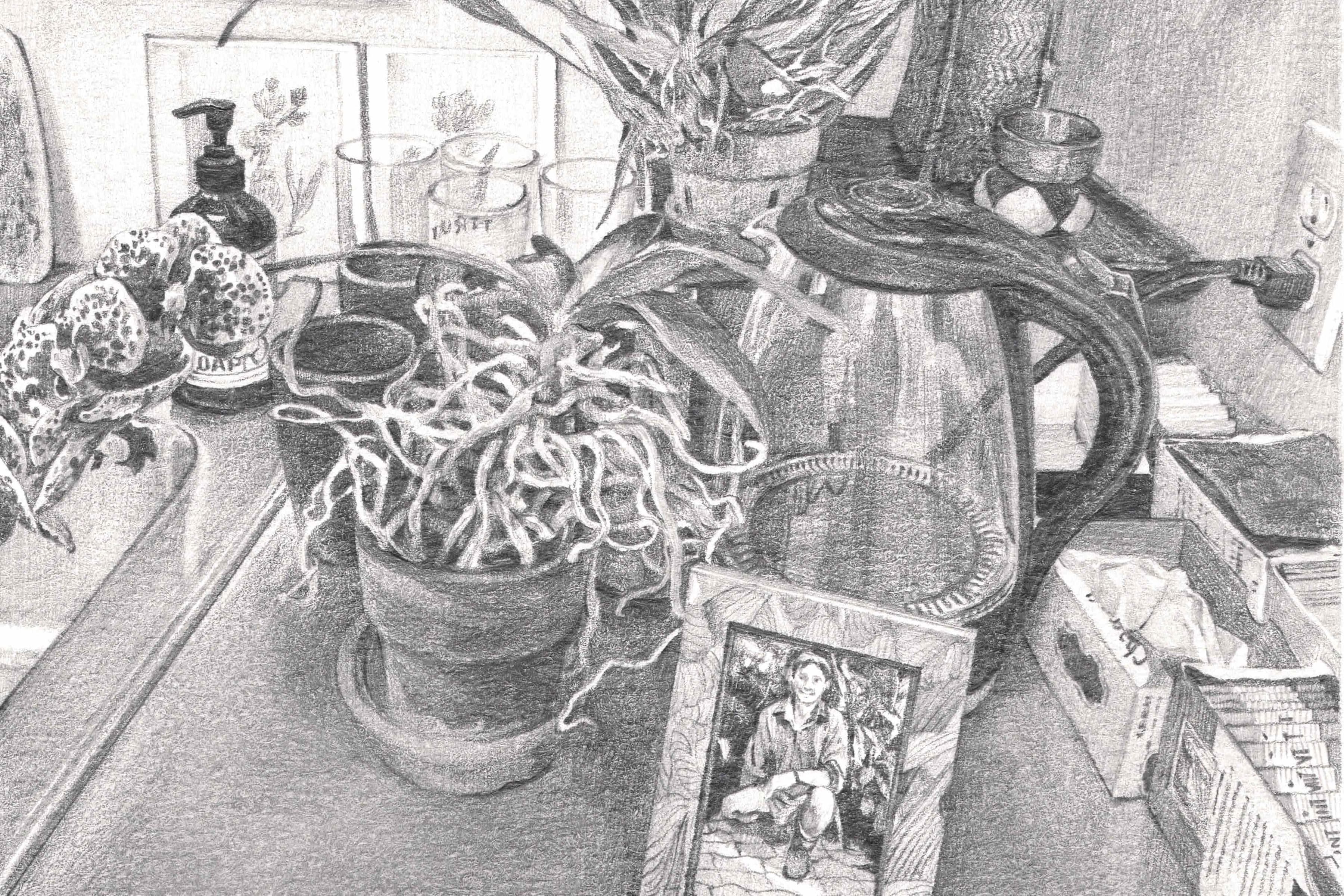 Domestic setting next to a sink: framed photograph of Ed, an orchid (kept alive by his partner, Daniel Ostrow), a hot water kettle, and glassware.