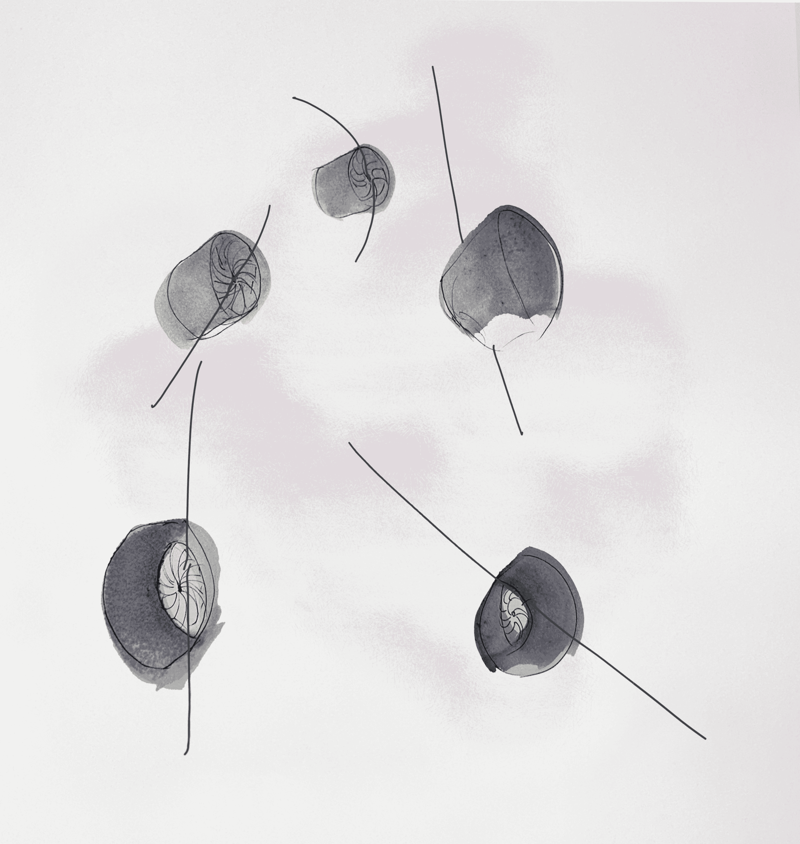Artist illustration of five steel fans shaded in gray and soft colors on white, creating a quiet mood.
