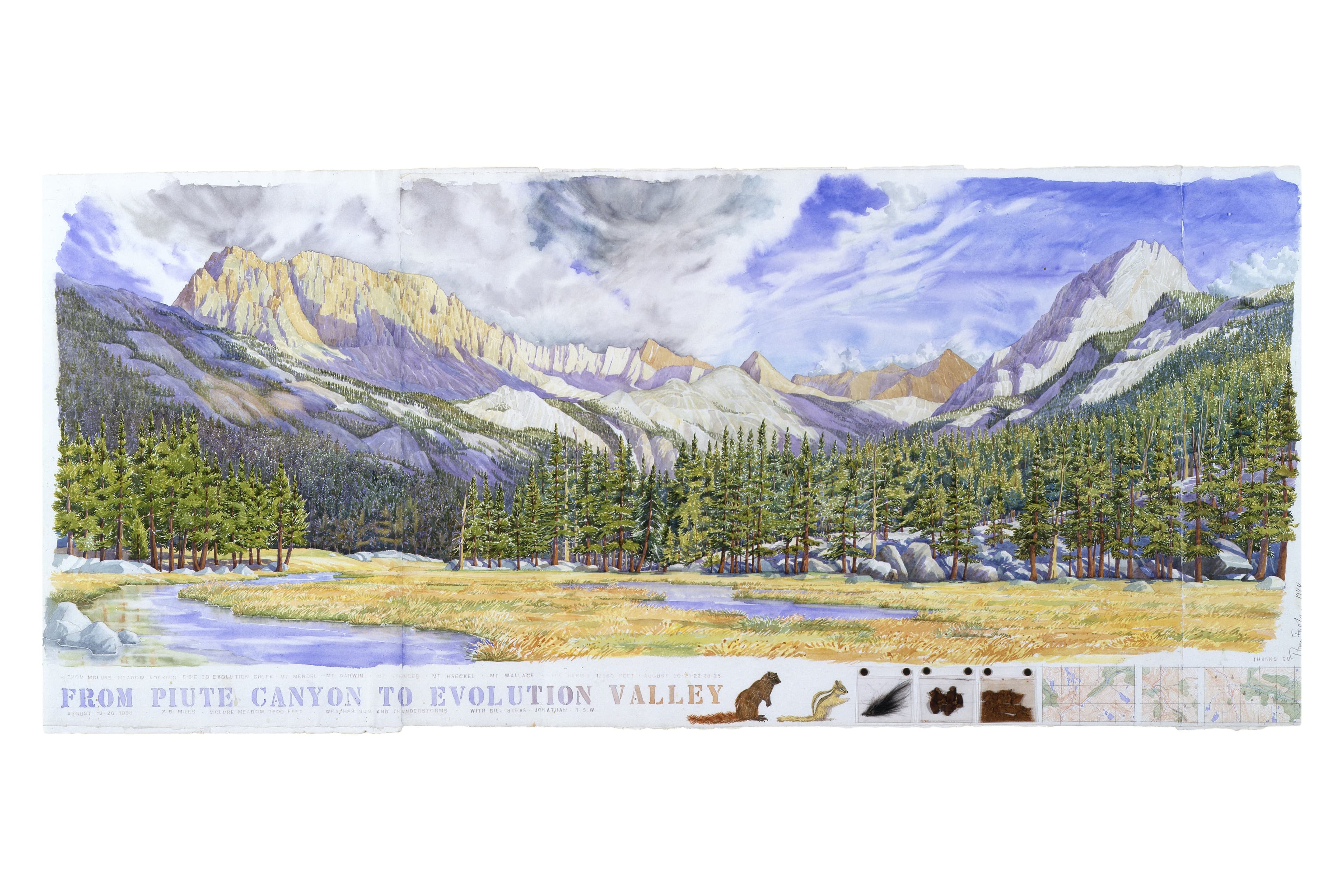 Decorative color watercolor of Sierra Nevada mountains with stenciled lettering of the title, study of a marmot and an alpine chipmunk, plastic bagged black mammal fur, pine bark and pine needles attached with brass brads, and hand-drawn topo maps.