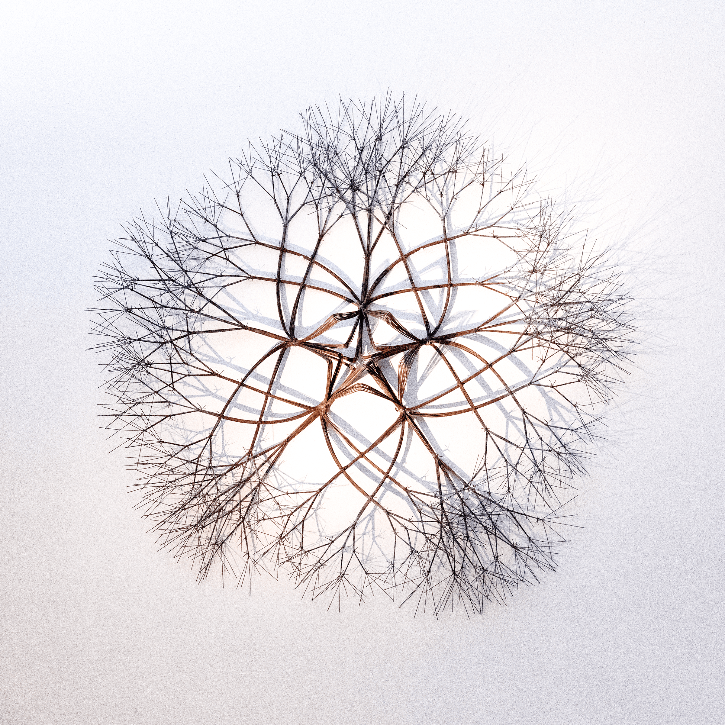 Image of a tied wire sculpture by Ruth Asawa. The sculpture is roughly a circular shape, has five branching lobes of wire, with a star-shaped central area. The lobes branch out form each point of the star-shaped central area.