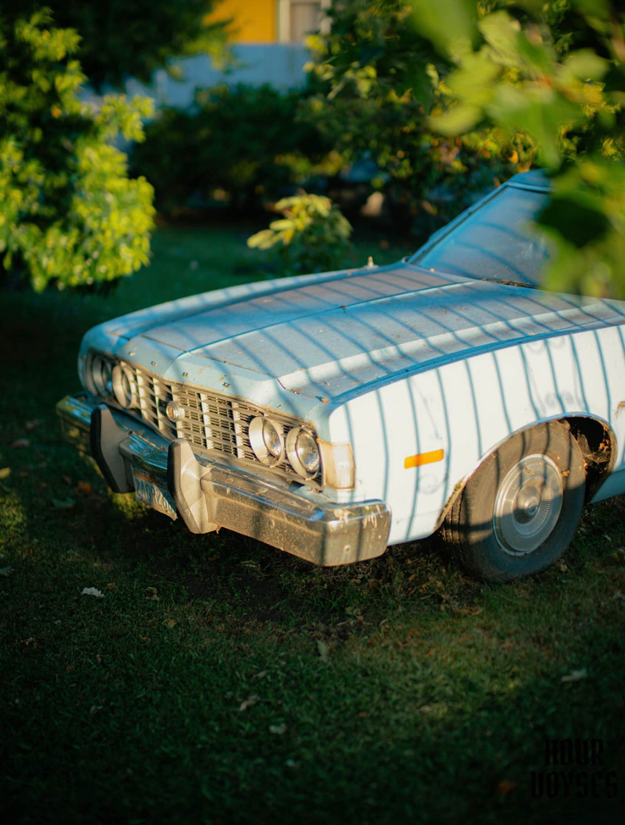 Through the green leaves of a tree, a light blue, the front of a classic lowrider peaks out from the right side of the frame.